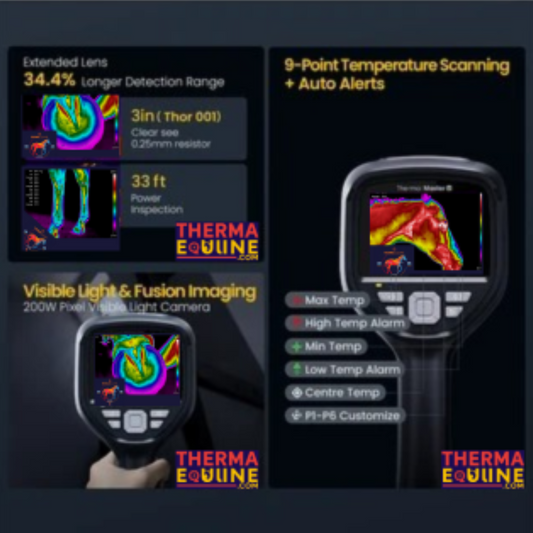 Infographic: how thermal imaging helps monitor horse performance