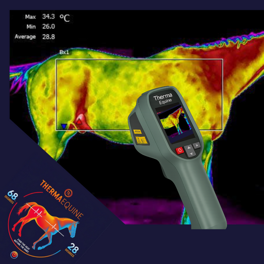 What is the Best-Selling Thermal Imager Camera for Horses at ThermaEquine