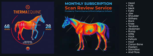 The ThermaEQUINE AI Health Assistant – A Game Changer for Horse Owners