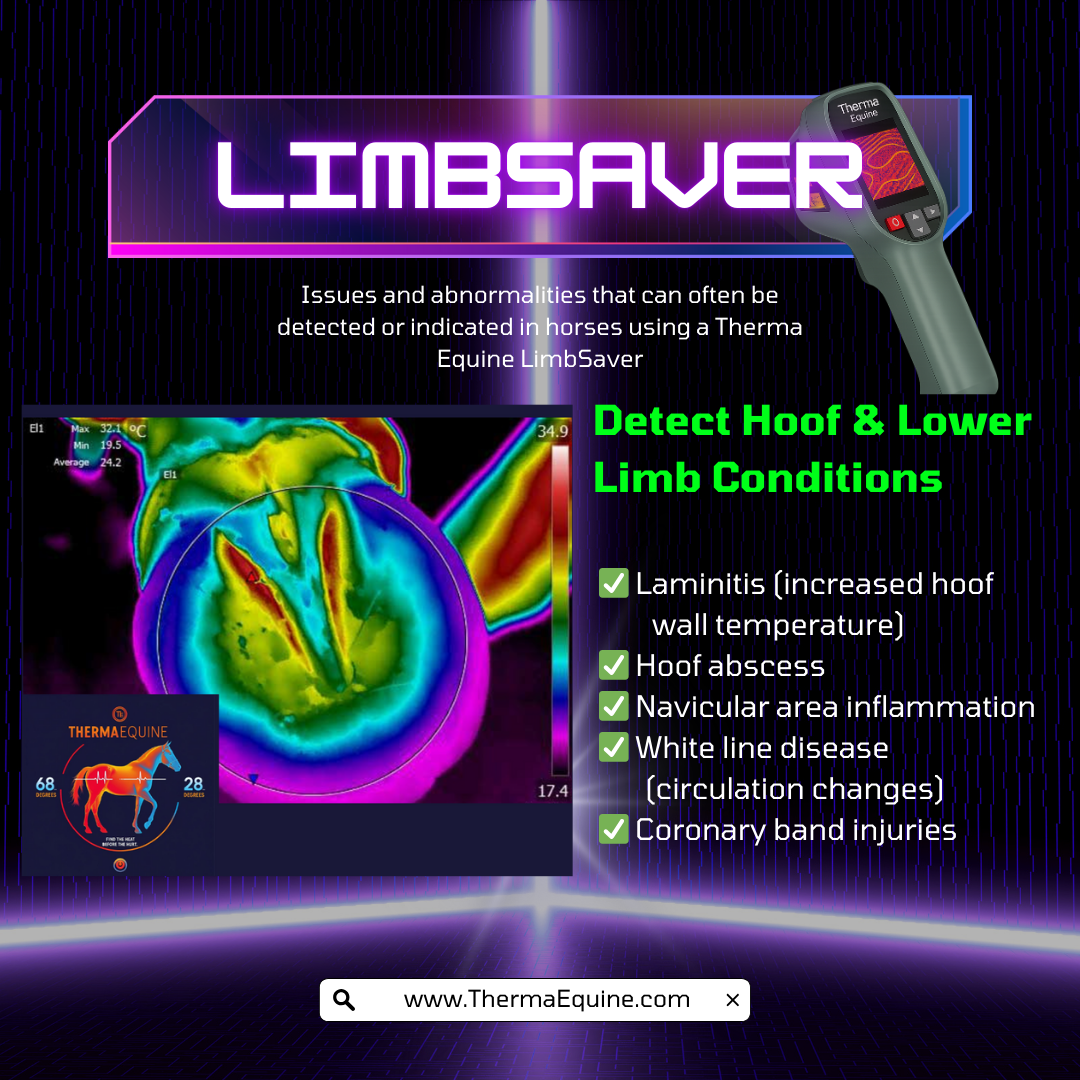 ThermaEQUINE LimbSaver Basic Camera