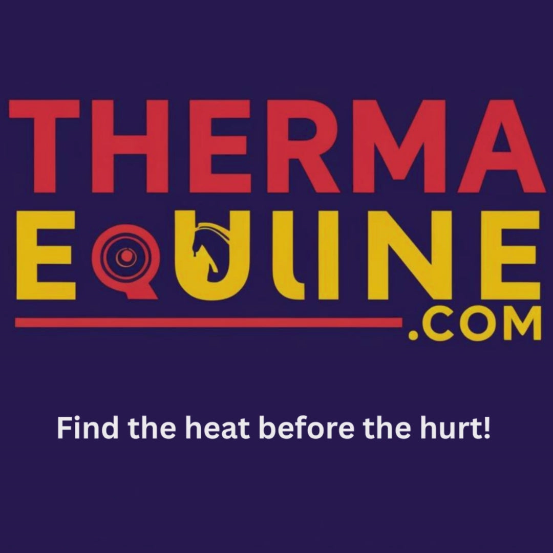 Professional equine thermal scanner for accurate injury detection