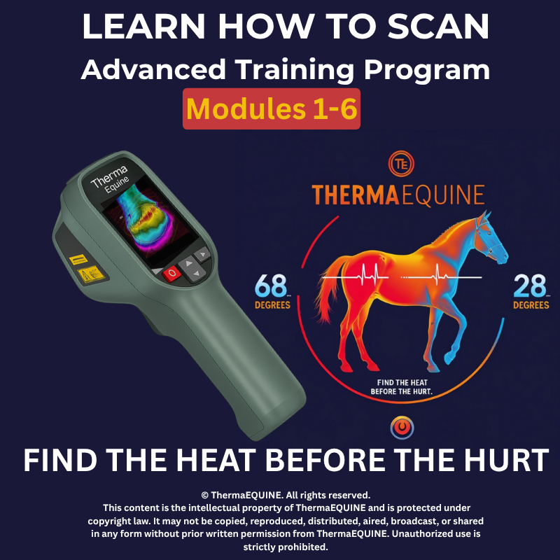 Learn To Scan Advanced Training Program